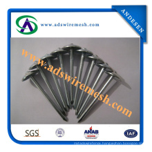 Head Sheet Cover Umbrella Roofing Nails with Shank